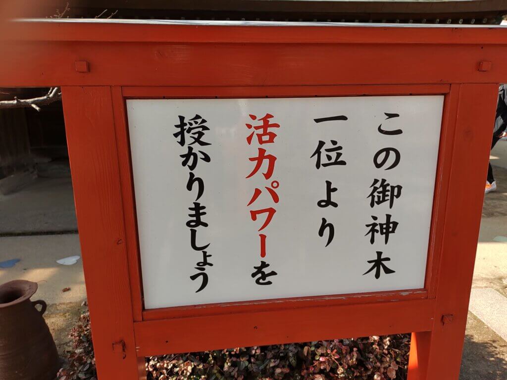 「恋木神社」ご神木の説明の看板